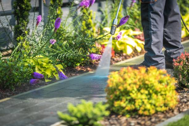 Trusted East Quogue, NY Pressure Washing Services Experts